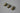 Curtain Clips Only - Antique Gold (Pack of 10) - GNTS Decor