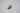Curtain Clips Only - Vintage White (Pack of 10)